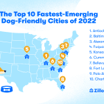 10 Most Dog-Friendly Cities