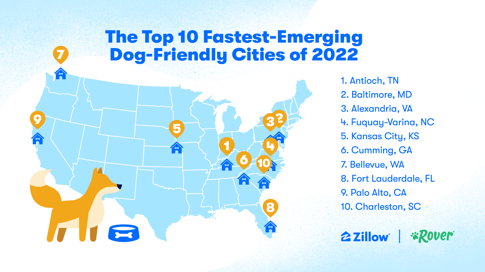 10 Most Dog-Friendly Cities