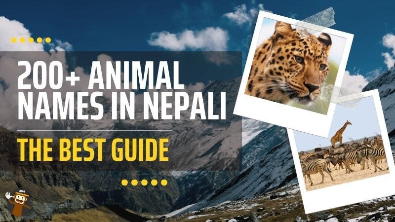 Animal Names A-Z: A Definitive Guide for 200+ Animal Names
