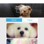 Barkfeed Is The Best Part Of Social Media: Dog Photos