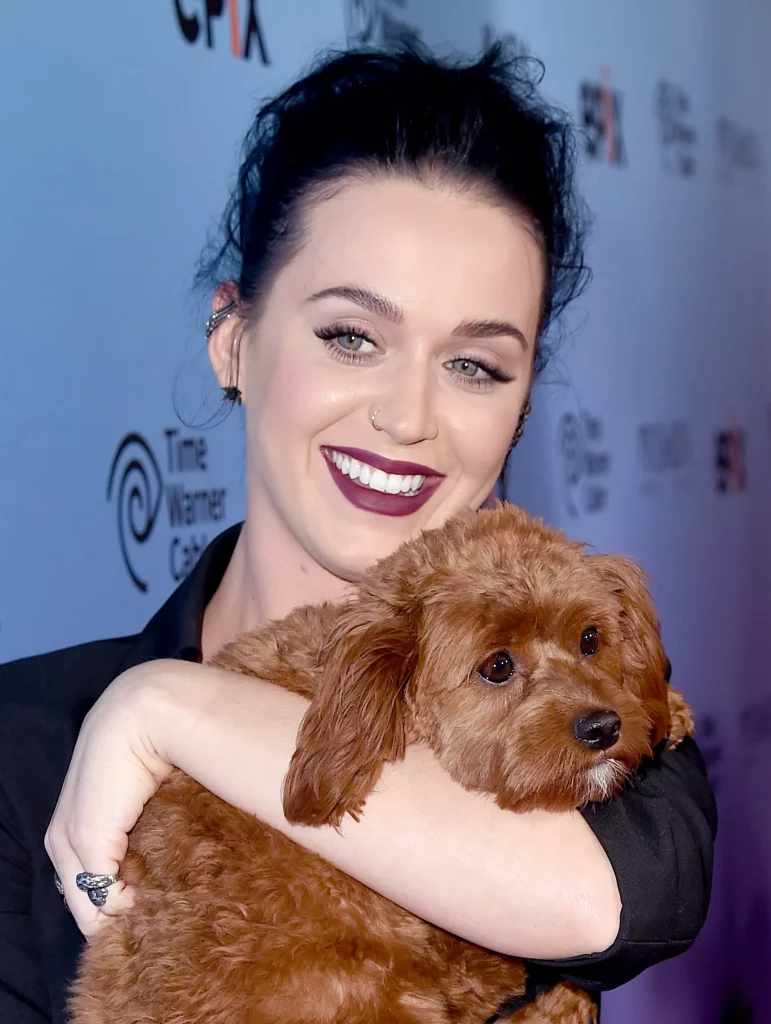 Affiliate Disclaimer Celeb Pets: 30 Celebrities Who Love Their Dogs [Pictures]