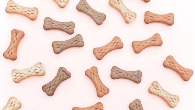 Chicago’S ‘Le Barkery’ Is Making Organic Dog Treats