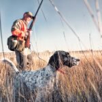 Demand for Hunting Dogs Is Sending Prices Upward