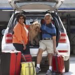 Gold Souls, Gray Faces: 7 Tips For Flying With A Senior Dog