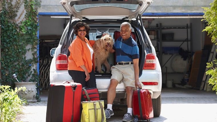 Gold Souls, Gray Faces: 7 Tips For Flying With A Senior Dog