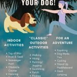 Great Ways to Exercise With Your Dog