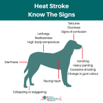 Heat Exhaustion in Dogs