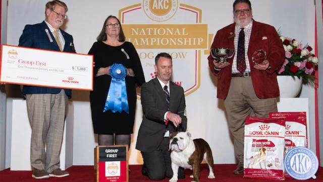 “Star” The American Bulldog Takes Home Akc Best in Show