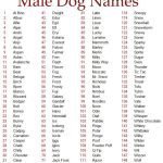 Top 105 Brainy Dog Names